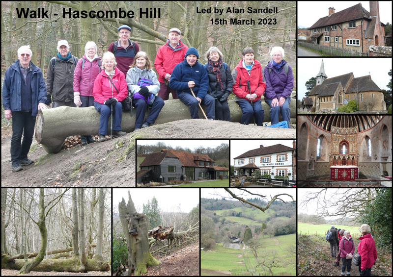Walk - Hascombe Hill - 15th March 2023